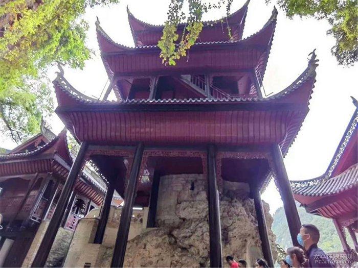 作为新员工应该怎样做?-专注于讨论分享的红迪网平台